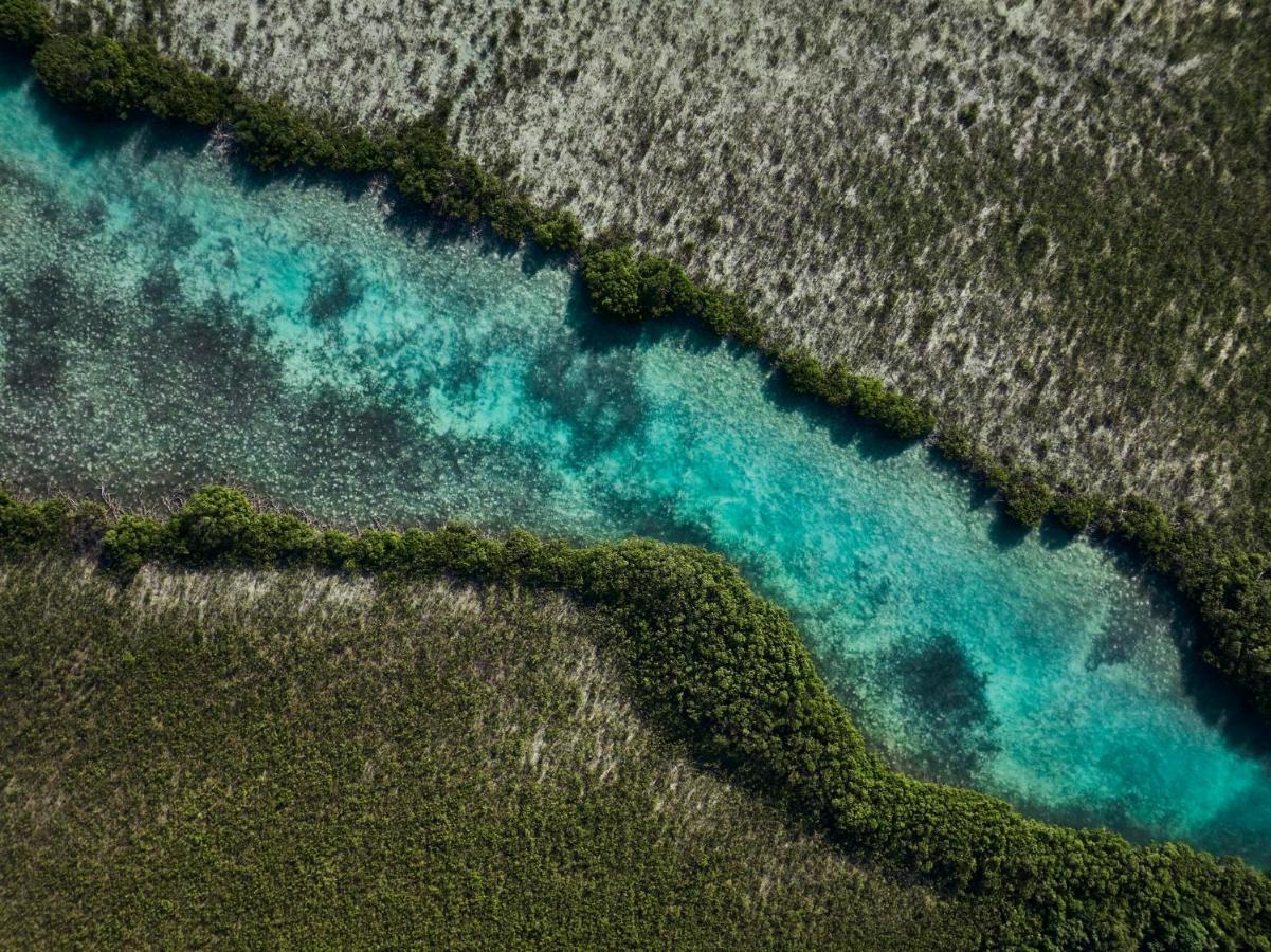 Como Parrot Cay Sandy Point Екстериор снимка